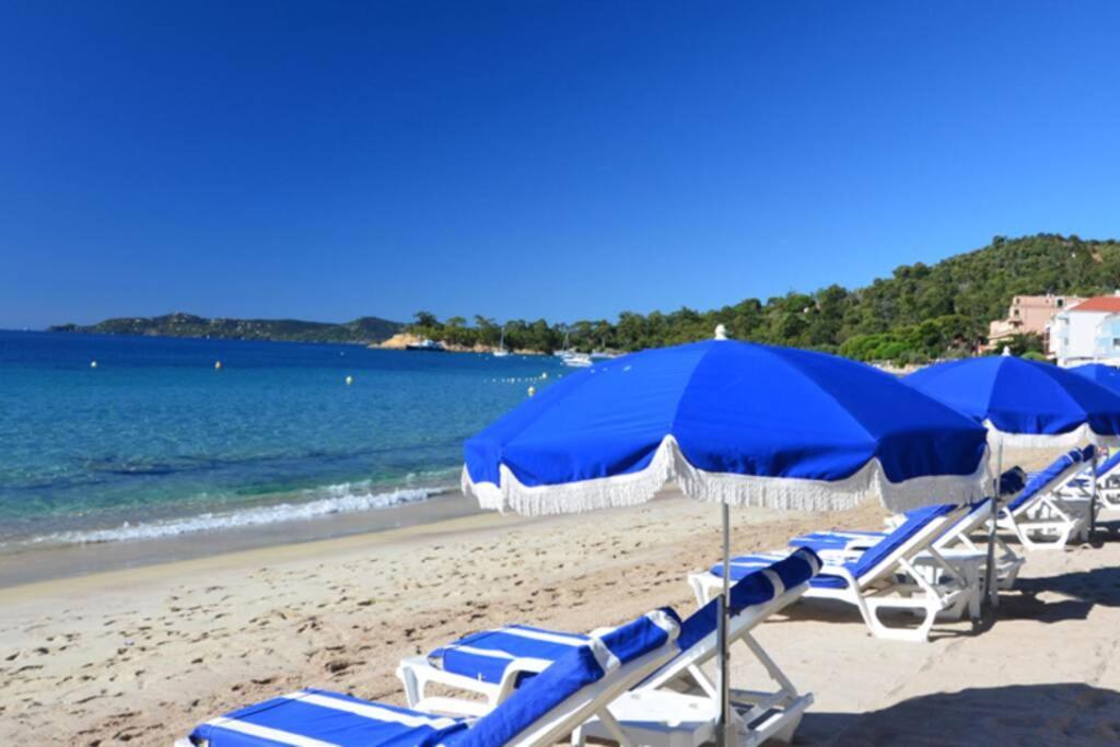לה לבאנדו Magnifique Studio A 50M De La Plage De Cavaliere - Studio Tamarindo מראה חיצוני תמונה